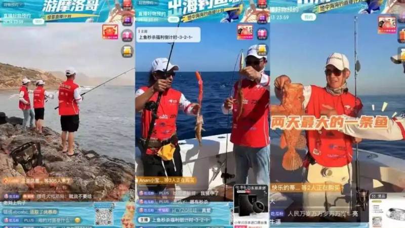 S16战队巡礼：从阵容结构看各赛区强队的战术底牌